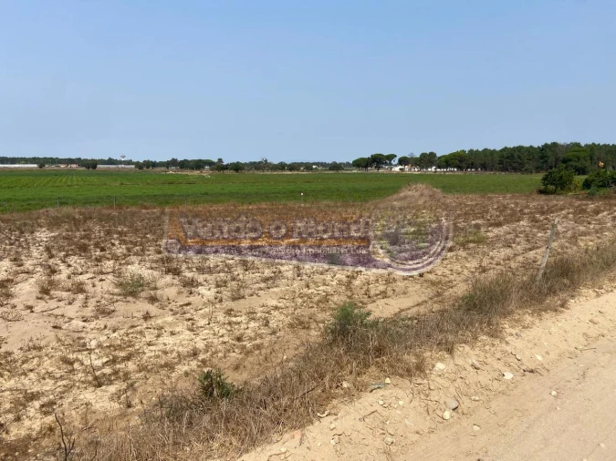 Terreno para Venda em Salvaterra de Magos e Foros de Salvaterra Foto 3