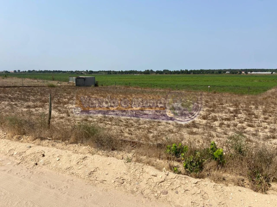 Terreno para Venda em Salvaterra de Magos e Foros de Salvaterra Foto 4