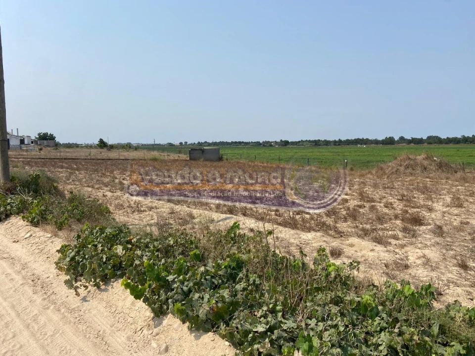 Terreno para Venda em Salvaterra de Magos e Foros de Salvaterra Foto 6
