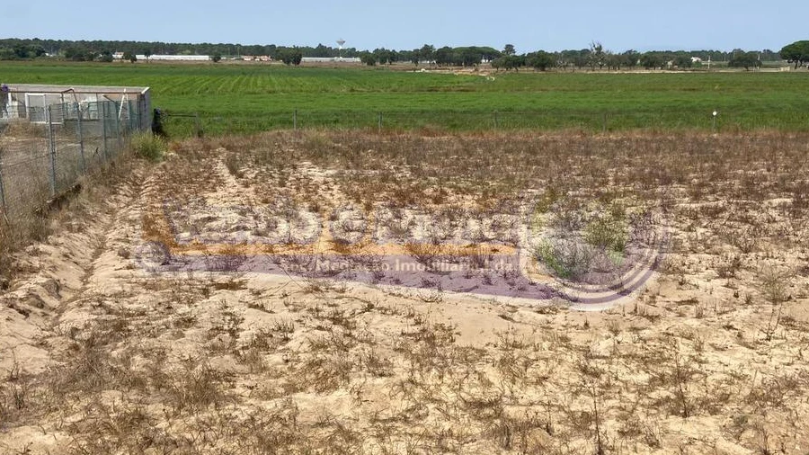 Terreno para Venda em Salvaterra de Magos e Foros de Salvaterra