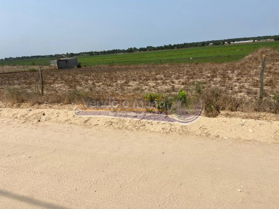 Terreno para Venda em Salvaterra de Magos e Foros de Salvaterra Foto 5