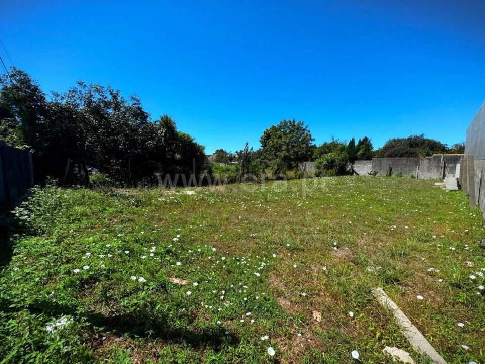 Terreno para Venda em Canelas Foto 6
