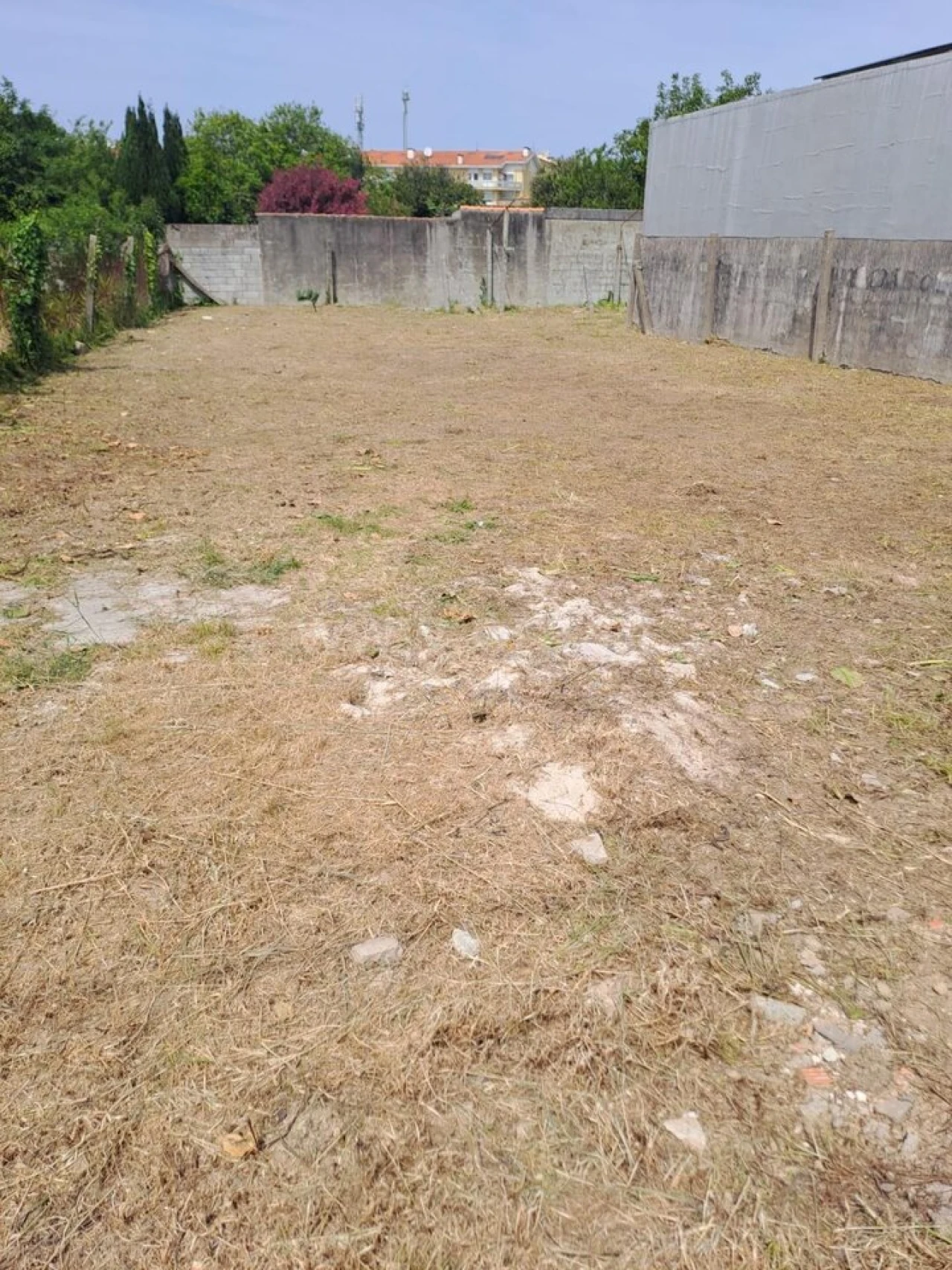Terreno para Venda em Canelas Foto 2