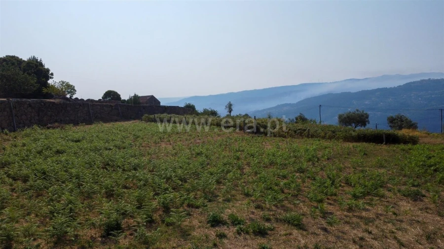 Terreno para Venda em Sande e São Lourenço Foto 4
