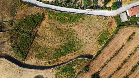 Terreno para Venda em Sande e São Lourenço