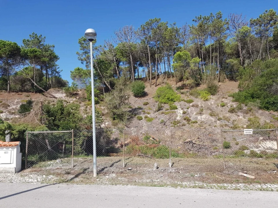 Terreno para Venda em Vau Foto 1