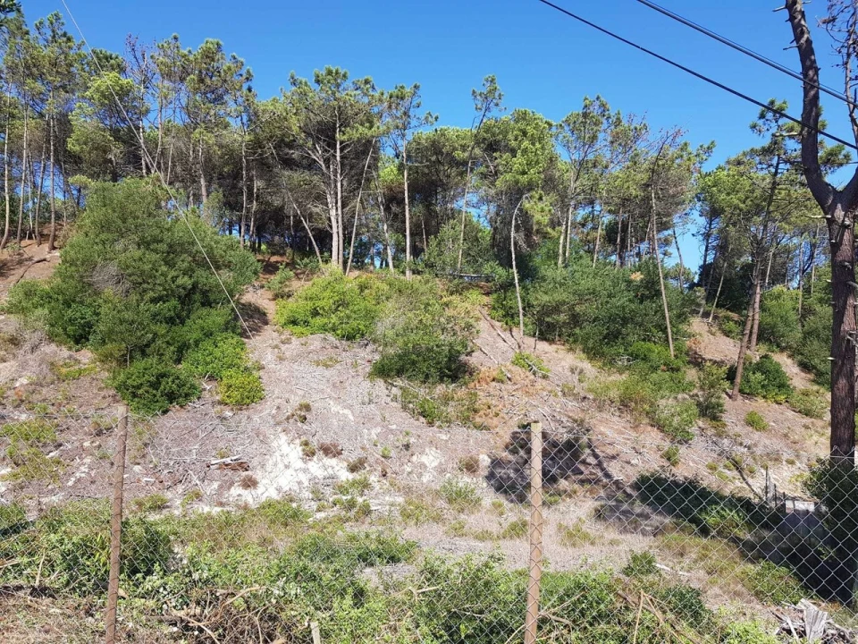Terreno para Venda em Vau Foto 2