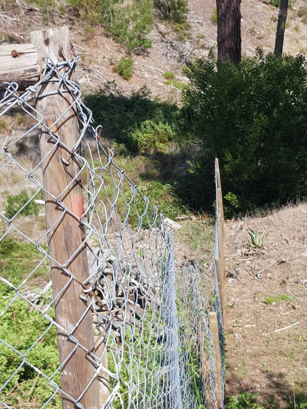 Terreno para Venda em Vau Foto 6