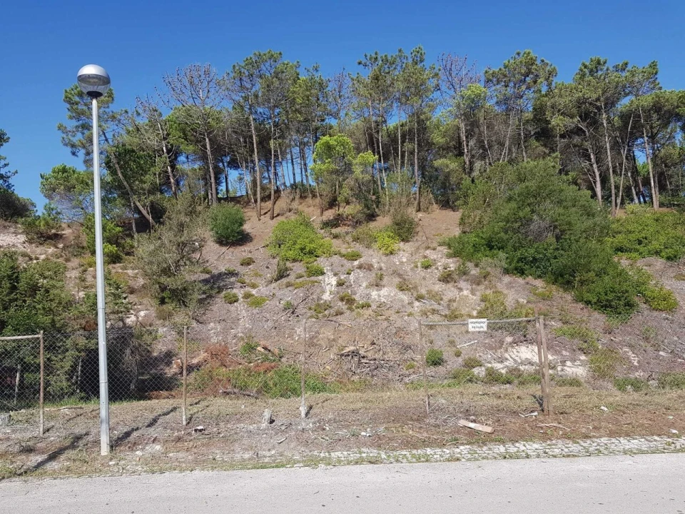 Terreno para Venda em Vau Foto 12
