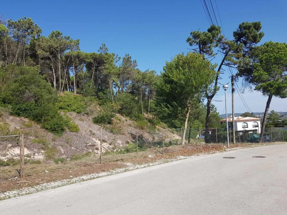 Terreno para Venda em Vau Foto 13