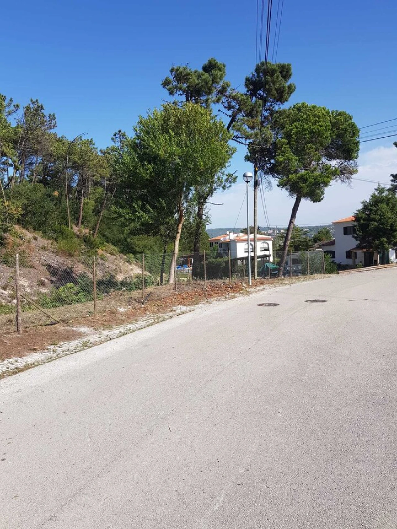Terreno para Venda em Vau Foto 14