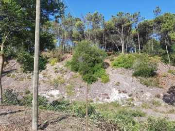Terreno para Venda em Vau