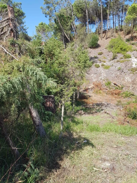 Terreno para Venda em Vau