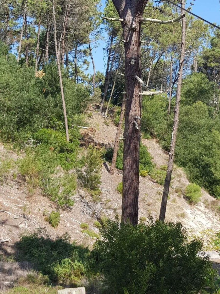 Terreno para Venda em Vau Foto 5