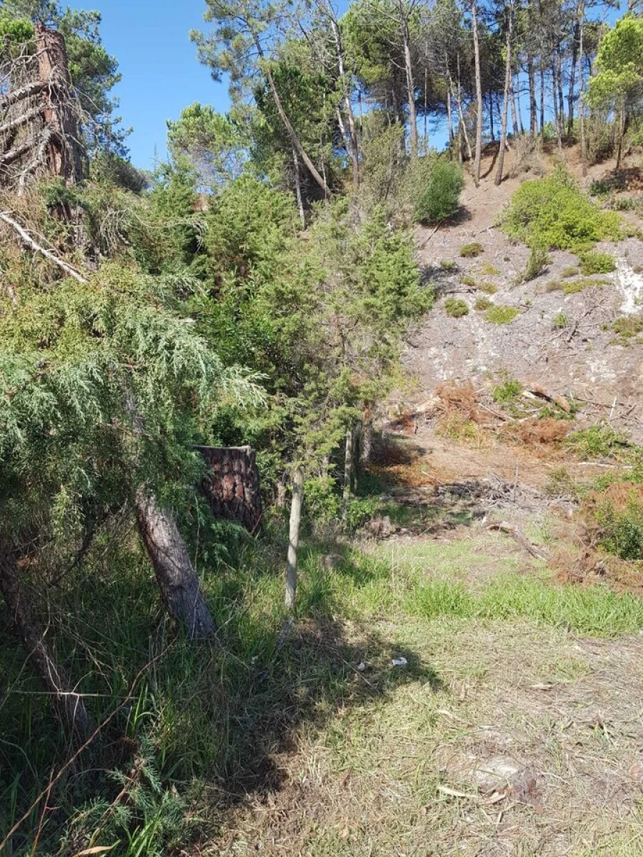 Terreno para Venda em Vau Foto 8