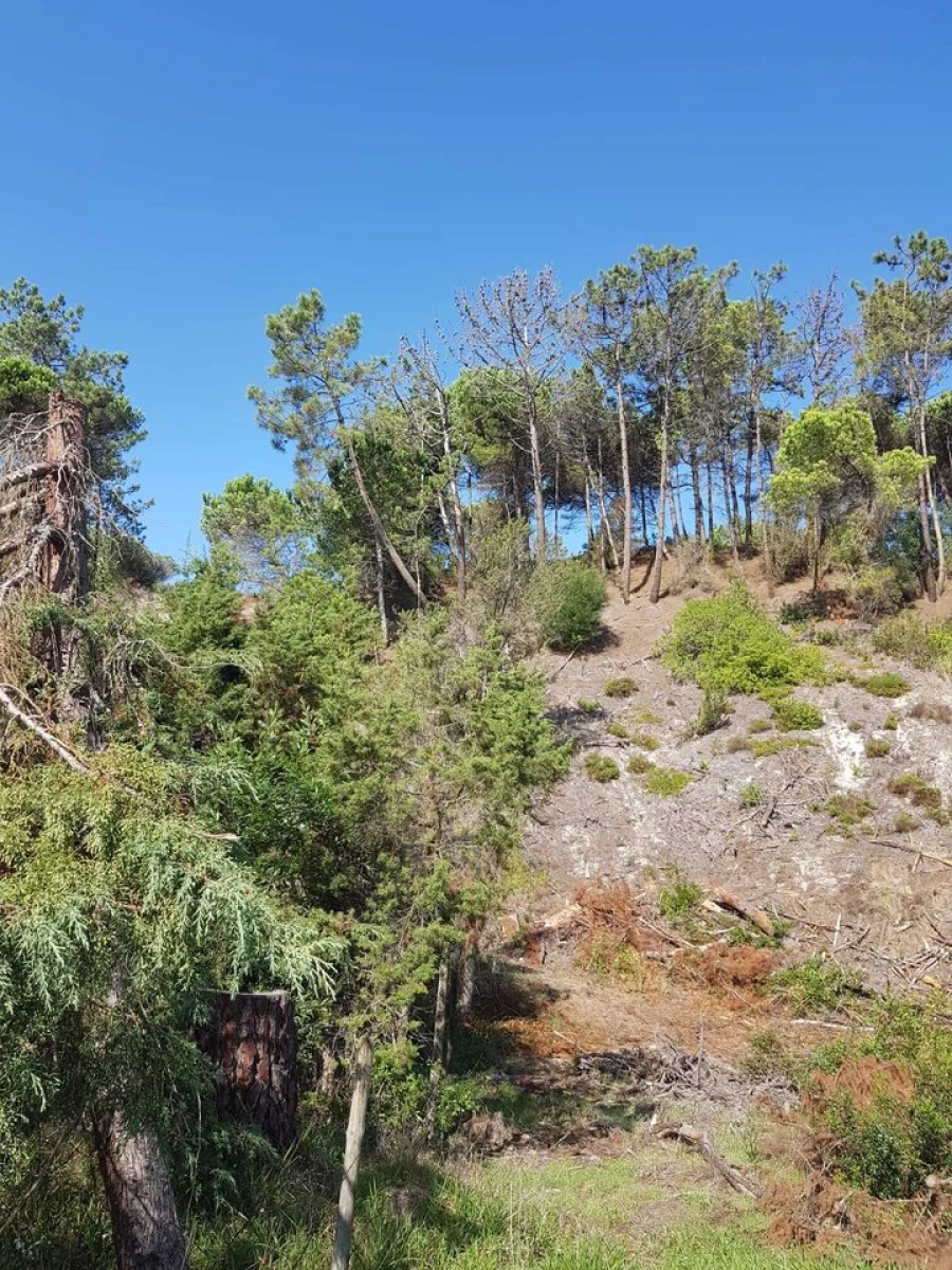 Terreno para Venda em Vau Foto 9