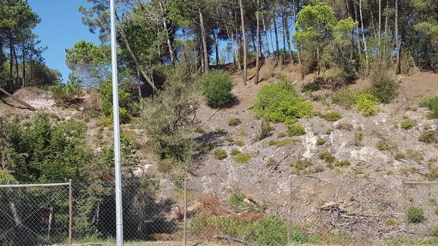 Terreno para Venda em Vau