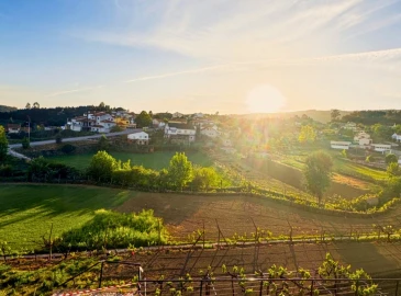 Terreno para Venda em Oleiros-Amieira