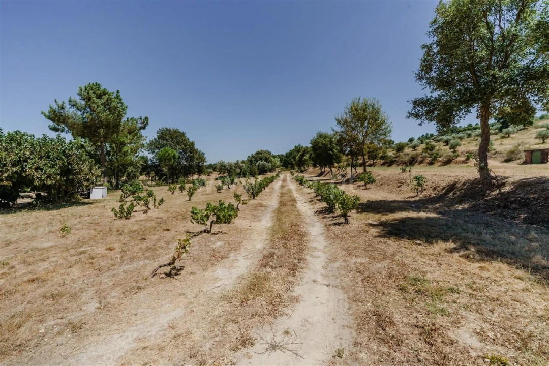 Quinta T0 para Venda em Fundão, Valverde, Donas, A. Joanes, A. Nova Cabo Foto 13