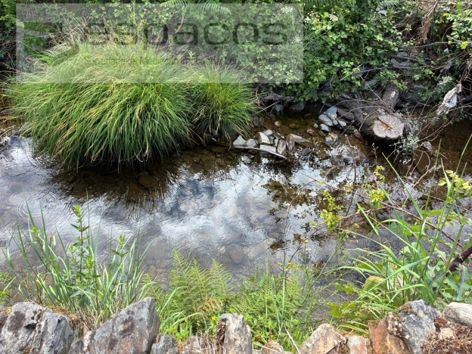 Terreno Agricola ou Rústico para Venda em Silvares Foto 4