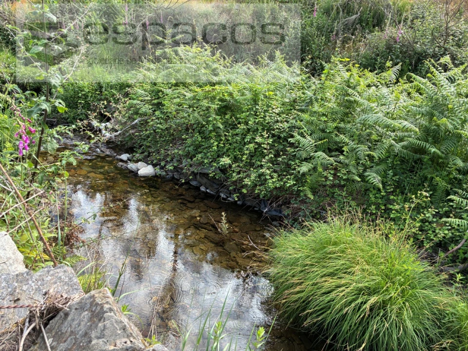 Terreno Agricola ou Rústico para Venda em Silvares Foto 5