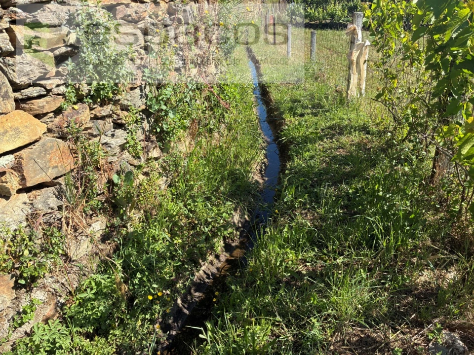 Terreno Agricola ou Rústico para Venda em Silvares Foto 6