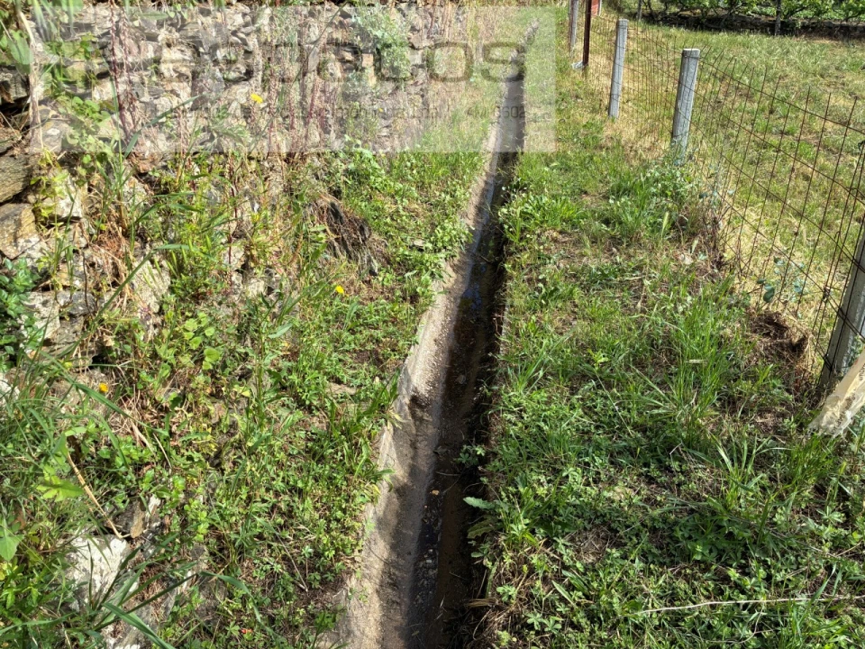 Terreno Agricola ou Rústico para Venda em Silvares Foto 7