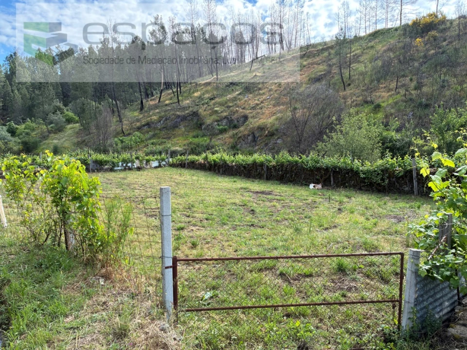 Terreno Agricola ou Rústico para Venda em Silvares Foto 8