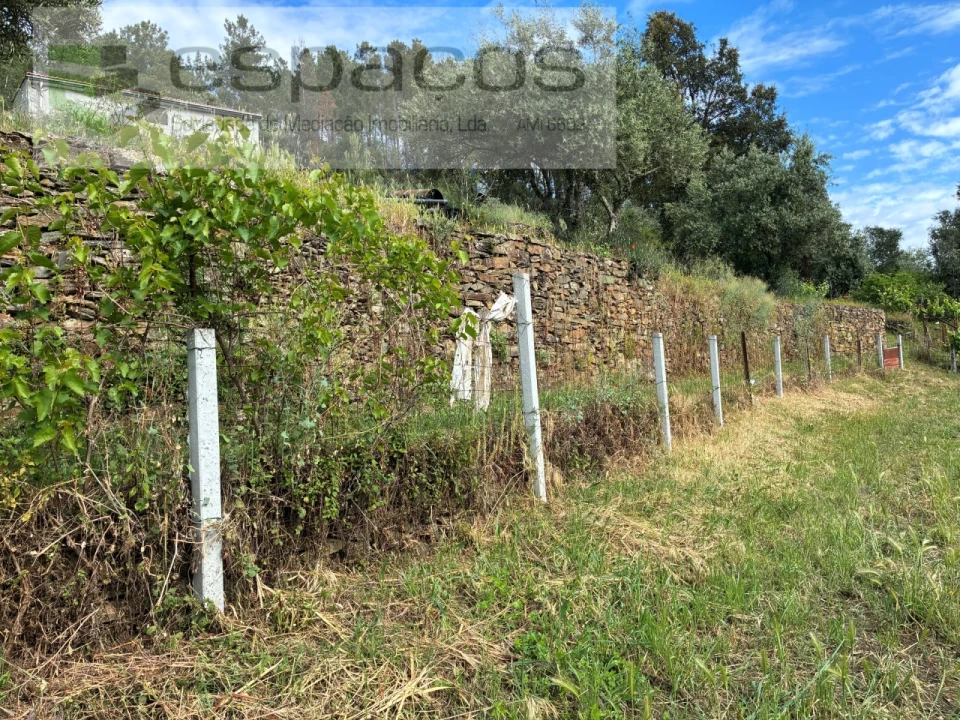 Terreno Agricola ou Rústico para Venda em Silvares Foto 13