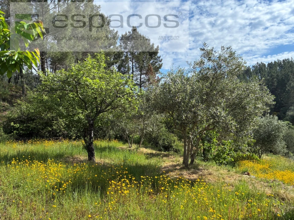 Terreno Agricola ou Rústico para Venda em Silvares Foto 17