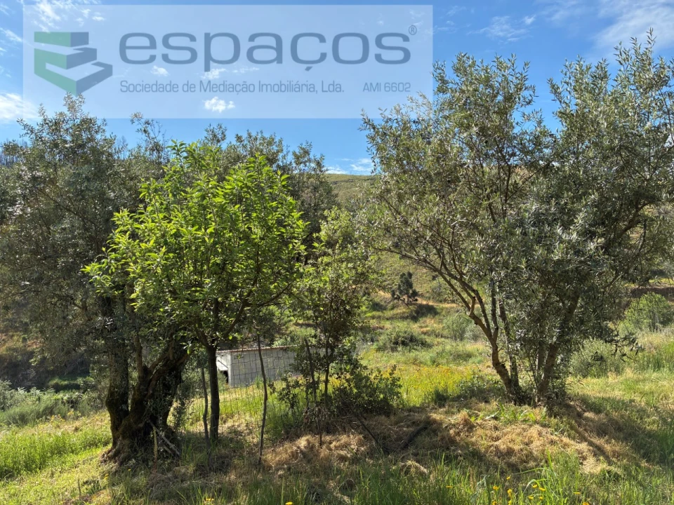 Terreno Agricola ou Rústico para Venda em Silvares Foto 19