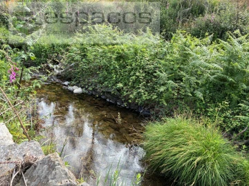 Terreno Agricola ou Rústico para Venda em Silvares