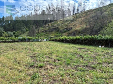 Terreno Agricola ou Rústico para Venda em Silvares