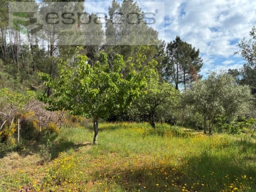 Terreno Agricola ou Rústico para Venda em Silvares