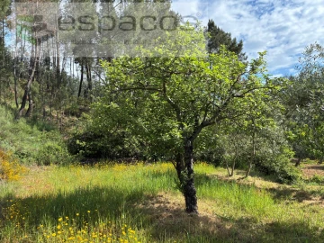 Terreno Agricola ou Rústico para Venda em Silvares