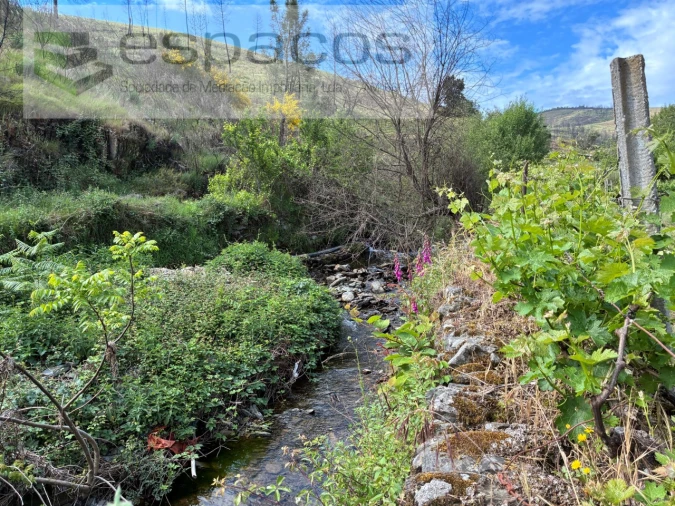Terreno Agricola ou Rústico para Venda em Silvares Foto 3