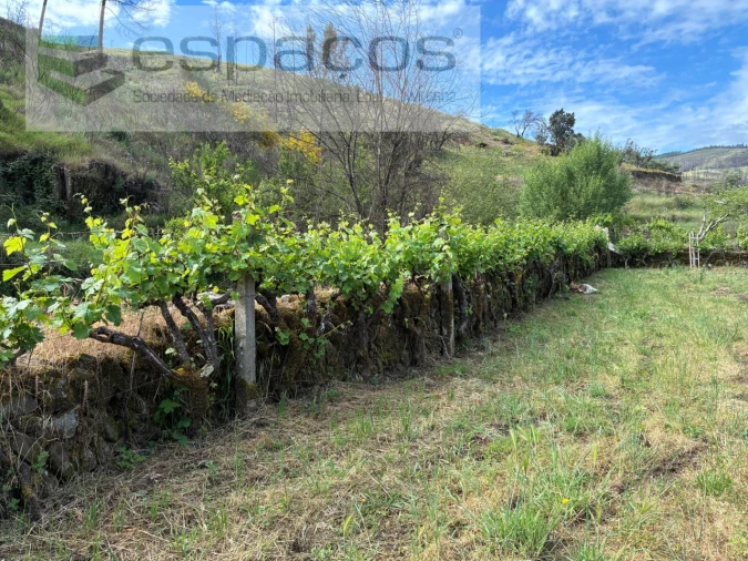 Terreno Agricola ou Rústico para Venda em Silvares Foto 11