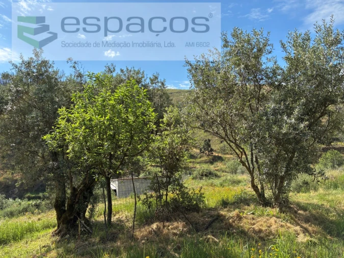 Terreno Agricola ou Rústico para Venda em Silvares Foto 19