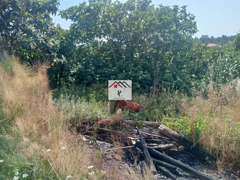 Moradia T2 para Venda em Souselas e Botão Foto 48