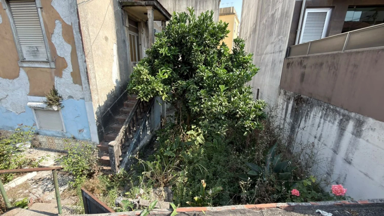 Terreno para Venda em São Mamede de Infesta e Senhora da Hora Foto 16