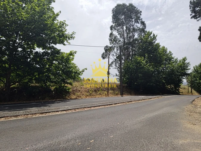 Terreno para Venda em Alcobertas Foto 6