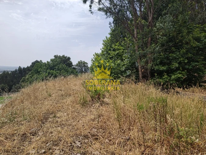 Terreno para Venda em Alcobertas Foto 8