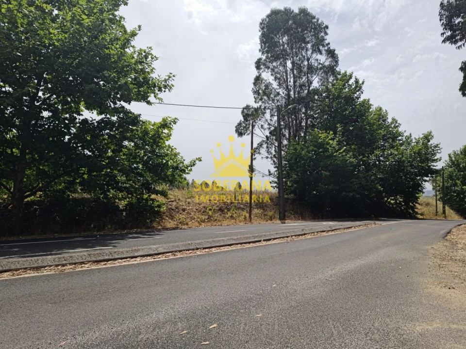 Terreno para Venda em Alcobertas Foto 6