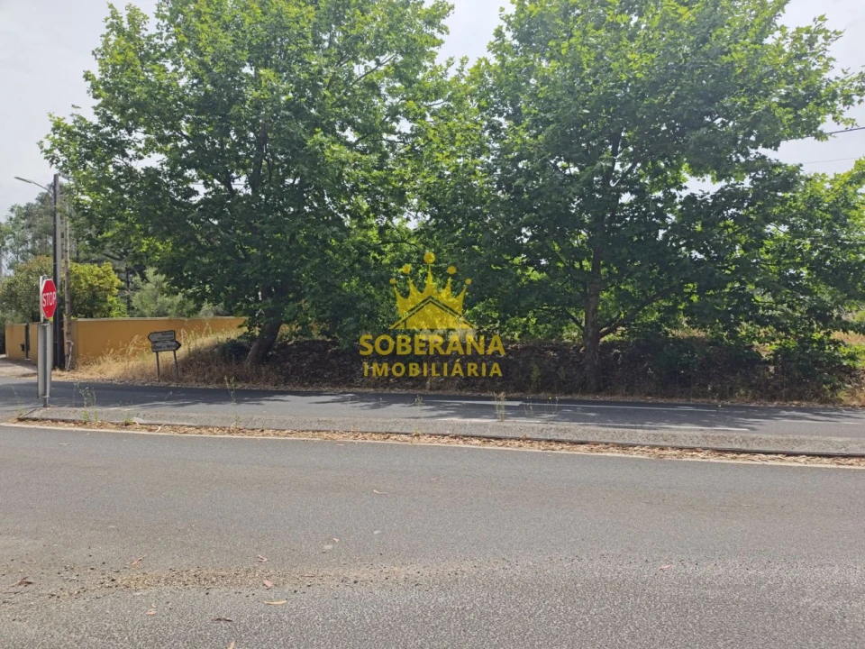 Terreno para Venda em Alcobertas Foto 5