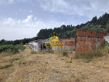 Terreno para Venda em Alcobertas