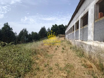 Terreno para Venda em Alcobertas