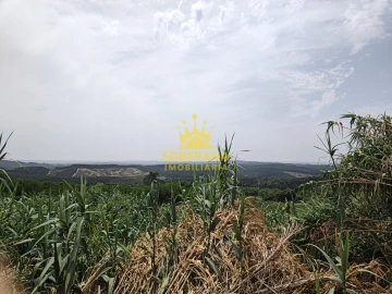 Terreno para Venda em Alcobertas