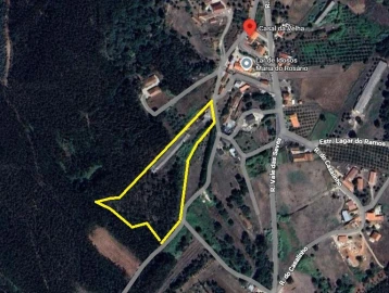 Terreno para Venda em Alcobertas
