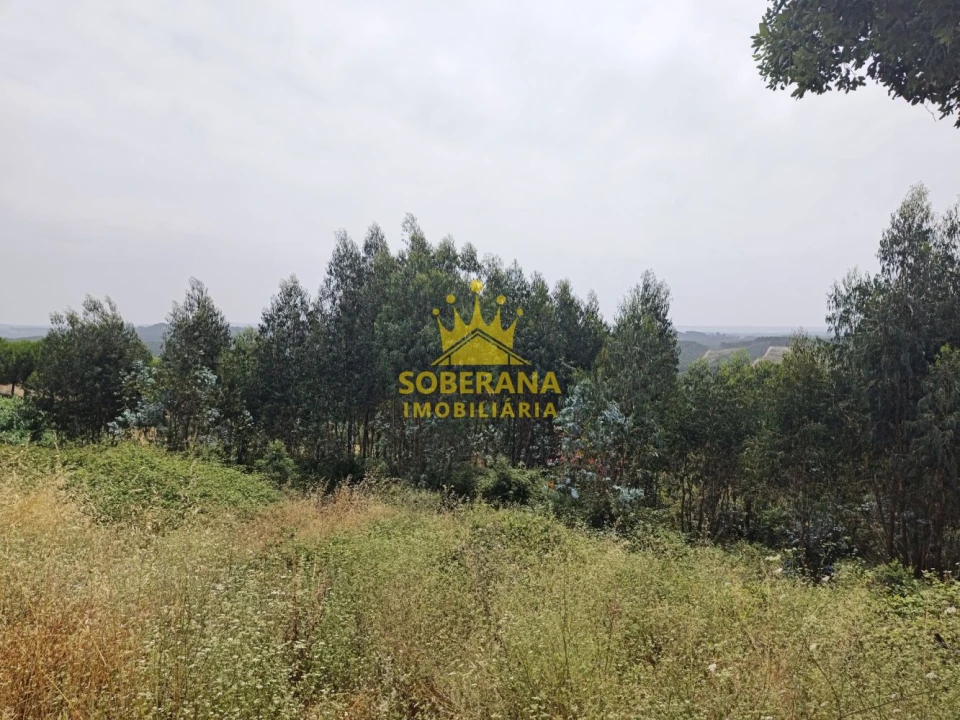 Terreno para Venda em Alcobertas Foto 14