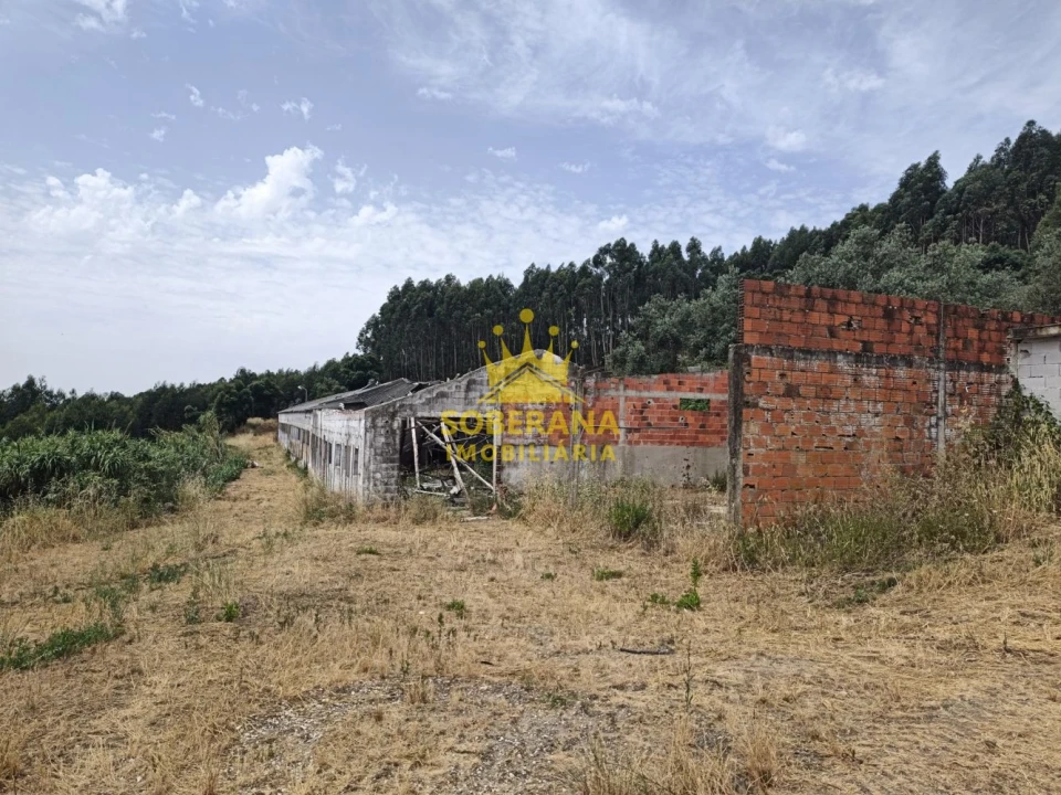 Terreno para Venda em Alcobertas Foto 7